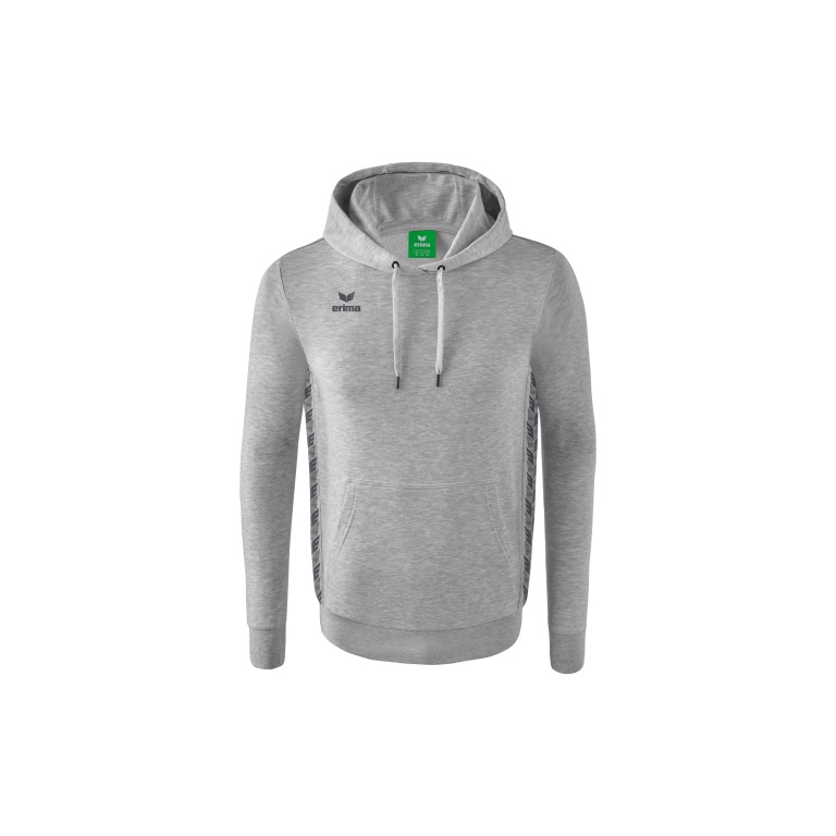 Erima Bluza z kapturem Essential Team (miękka bawełna, ściągacze) jasnoszara/szara męska